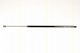 Triscan 8710 29295 Trunk Shock Absorber