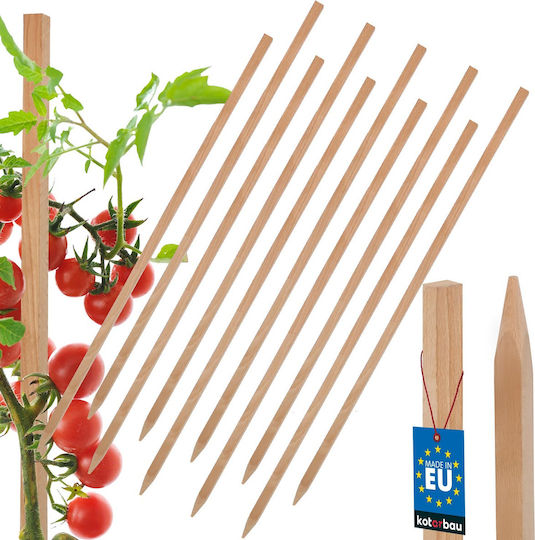 Kotarbau Holzpflanzenspieße Tomaten Gemüse Gartenstützen Bäume Sträucher 60 cm Set 10 Stück