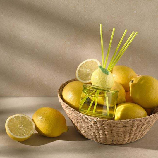Corona Di Fiori Parfumuri Pentru Casă Stick 100ml Citrus Paradise