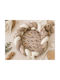 Catriss Baby Nest Pillow Camping Ecru 60x80cm