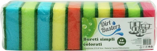Set 10 Multicolor Dish Sponges
