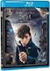 Fantastic Beasts Where To Find Them 3d+2d Φανταστικα Ζωα Βρισκονται 3d+2d Ελληνικη Εκδοση Blu-ray 3d + Blu-ray 2d