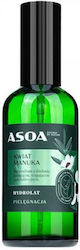 Asoa Hydrolate Liquid Facial Toner 100ml Asoa Hydrolate Liquid Facial Toner 100ml