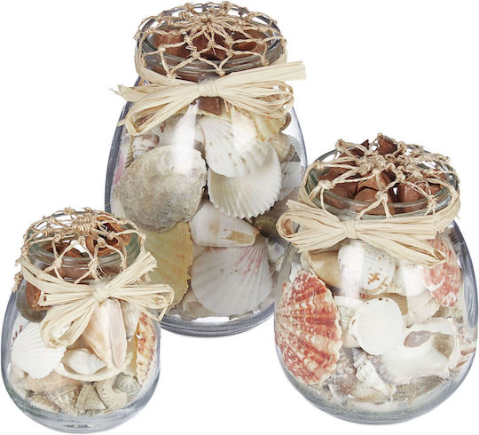 Set 3 Relaxdays Seashell Jars Cream Transparent 15.5x9.5x9.5 Cm Set 3 Relaxdays Seashell Jars Cream Transparent 15.5x9.5x9.5 Cm