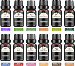 Set Uleiuri Esențiale 12 Bucăți 12x10ml 100% Pure