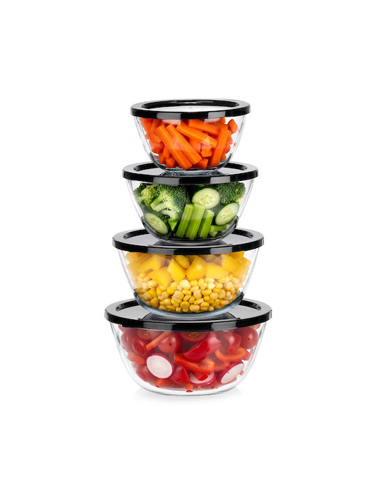 Vilde Vilde Glas Mittagsboxen Transparent 4 Stück