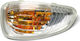Renault Master 2010 Yellow Turn Signal White Bulb In Right Mirror