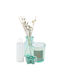 Set Home Fragrance Sticks 2 Candles Moss After Rain Mrshome Df-0012001