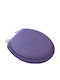 SteweHome Toilet Seat Plastic