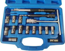Set Burghie Curățare Injector Motorină Bmw Audi