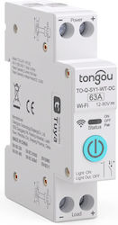 Smart Switch Tongou To-q-sy1-wt-dc System Tuya Wi-fi 1p+n 12-80v 63a