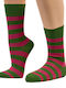 The Bus Grüne Socken