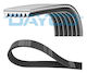 Dayco Ribbed Transmission Belt 6pk848eepm