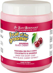 Iv San Bernard Balsam Supreme Cireșe Negre Pek Pentru Câini și Pisici 1l Iv San Bernard Balsam Supreme Cireșe Negre Pek Pentru Câini și Pisici 1l