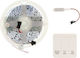Spv T LED Strip 24V Cold White Light 5m