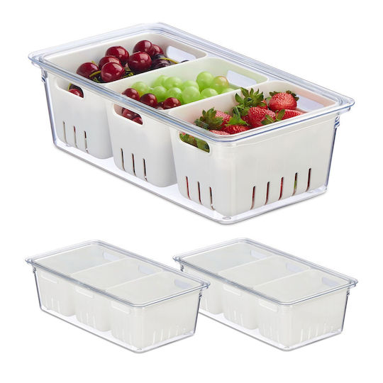 Relaxdays Recipient Închis Organizatoare Pentru Frigider Utilizare Generală 10x17.5x32cm