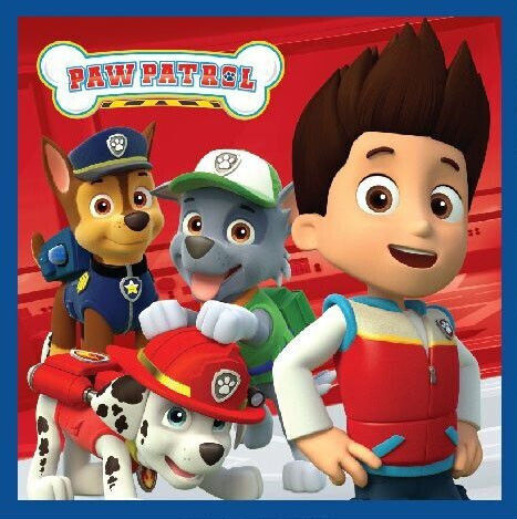Paw Patrol Magic Hand Towel Face Towel Towel 30x30cm