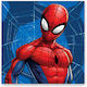 Spiderman Web Hand Towel Face Towel Towel 30x30cm