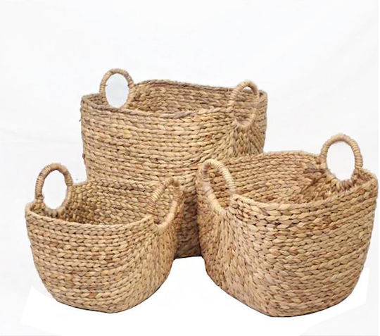 Zaros VT184 Wicker