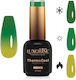 Luxorise Thermocool Thermal Semi-permanent Nail...