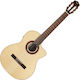 Cordoba Guitars C5-ce Electro-Classical Guitar 4/4 Natural