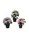 Hydrangea In A Pot Artificial Decorative Plant 1 Pc 24x25 Cm