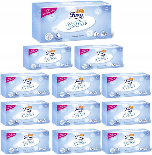 Foxy 12 Boxes Tissues (90pcs/Box)