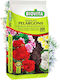 Soil Geraniums Balcony Plants 20l