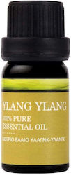Decosta Αιθέριο Έλαιο Ylang-ylang 10ml Decosta Αιθέριο Έλαιο Ylang-ylang 10ml