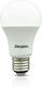 Energizer LED Bulb 8.8W For E27 Socket And A60 Shape Natural White 806 Lumen