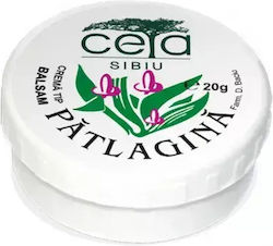 Ceta Sibiu Κρέμα για Επούλωση 20gr Ceta Sibiu Κρέμα για Επούλωση 20gr