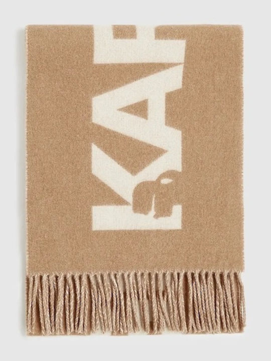 Karl Lagerfeld Women's Brown Scarf