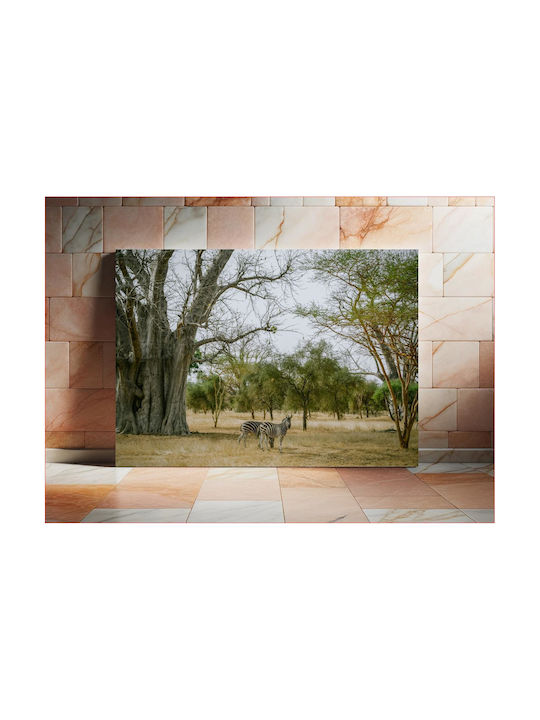 Πίνακας Zebras Under Baobab Tree Ζέβρες Κάτω Δέντρο Baobab 100x70