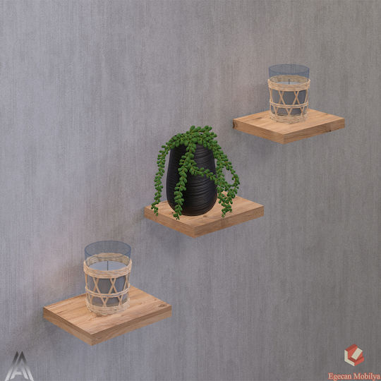 Wall Shelves Brown 3 Pieces 15x13.5x13 cm