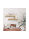 Wall Shelves Brown 2 Pieces 50x50x12cm