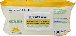 Alista Home Baby Wipes 100 Pieces Alista Home Baby Wipes 100 Pieces