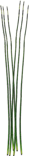 Thin Green Leaf Set 6 Pieces 140 Cm Zaros Mg177