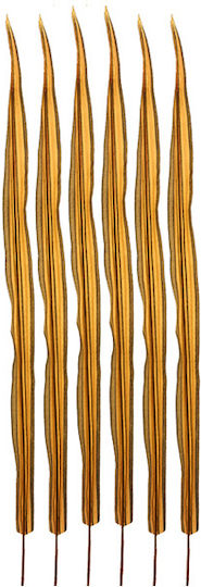 Blatt Lögchis Set 6 Stück Orange Zaros Mt475