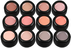 Set 12 Nude Farbige Uv-Gele Temptation Collecti...