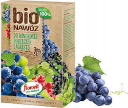 Florovit Düngemittel Johannisbeeren Ribisel Reben 11 L Natürliche Granulate Florovit Düngemittel Johannisbeeren Ribisel Reben 11 L Natürliche Granulate
