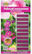 Planta Fertilizer Sticks Orchids 20 Pieces