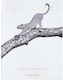 Assouline Londolozi: The Safari That Changed Everything