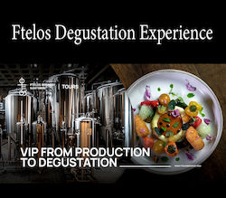 Ftelos Brewery Vip Ξενάγηση Γευσιγνωσία Beer & Food 1p