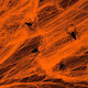 Spinnennetz Spinne Orange 4-5 m² Synthetisches Baumwollmaterial 4 Spinnen Halloween