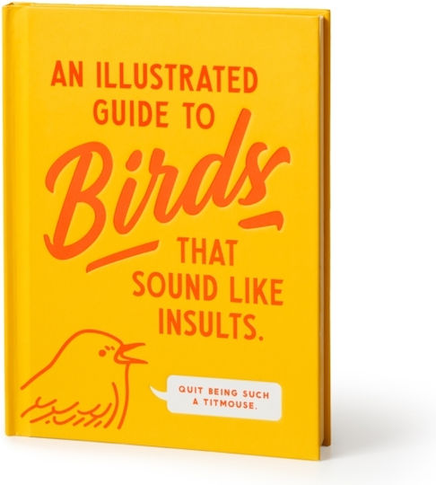 Illustrated Guide To Birds That Sound Like Insults - Galison - Novelty Book