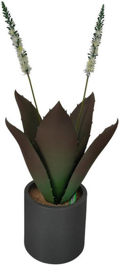 Aloe 102cm Supergreens