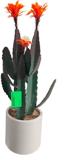 Kaktus 80cm Supergreens
