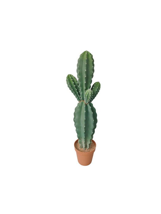 Cactus Supergreens