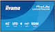 Iiyama LH4375UHS-B2AG Public Display 42.5" LED 4K UHD