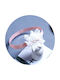 Intimonna Baby Headband in White Colour